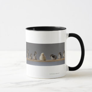 Caneca 7 galinhas do animal de estimação do bebê em um