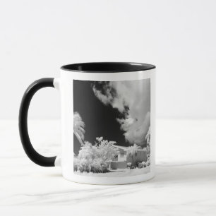 Caneca A casa da Florida Keys e suas palmeiras, EUA.