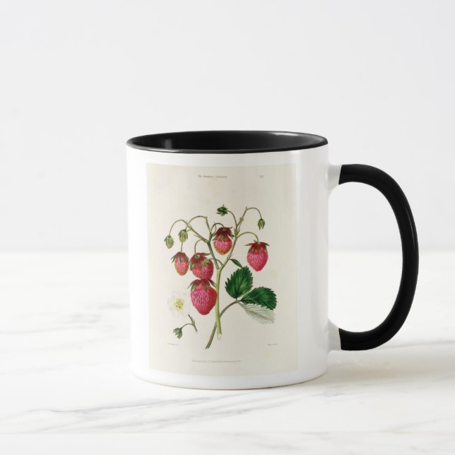 Caneca A morango de Roseberry, gravada por Watte (Direita)