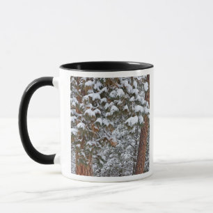 Caneca A neve enche os galhos das árvores de pinheiro pon