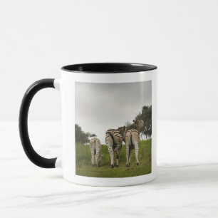 Caneca A parte traseira de três zebras, África do Sul