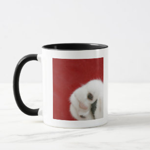 Caneca A pata do gato