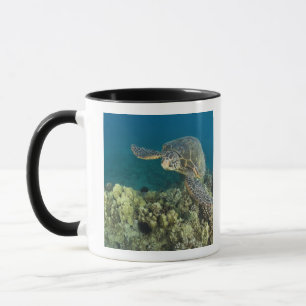 Caneca A Tartaruga Marinha Verde, (Chelonia mydas), é a 2