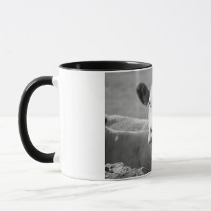Caneca A vaca risonha
