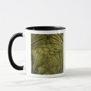 Caneca Abóbada de fã no claustro