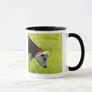 Caneca Acobarde a pastagem em um campo, Loire Valley,