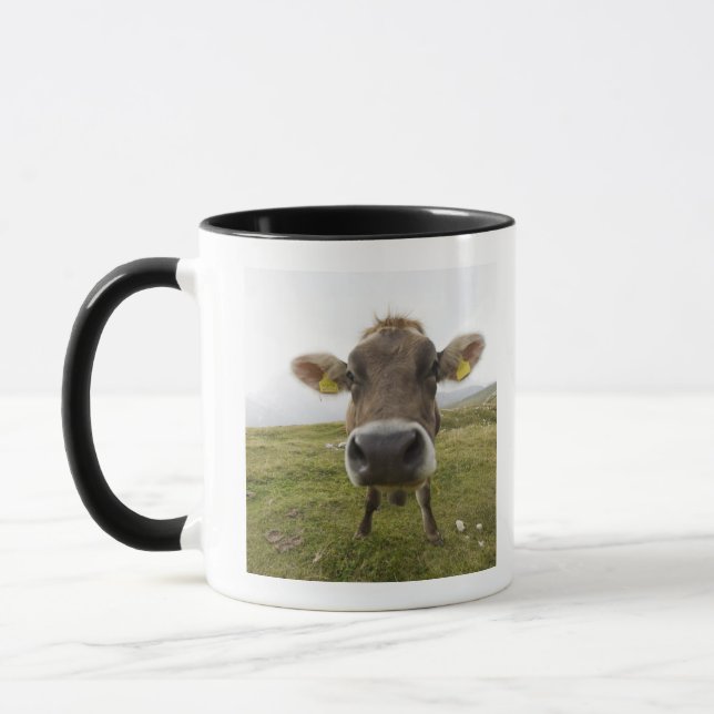 Caneca Acobarde perto de Tre CIME Di Lavaredo em (Esquerda)