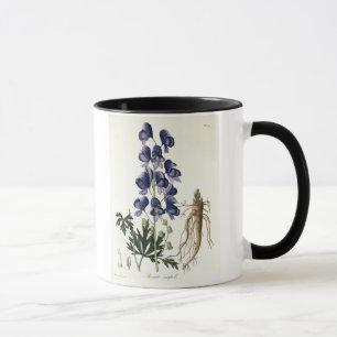 Caneca Aconitum Napellus de "Phytographie Medicale" perto