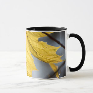 Caneca Açúcar bordo, outono