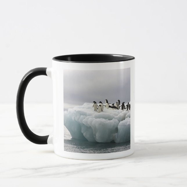 Caneca Adelie Penguin Pygoscelis adeliae), (Esquerda)