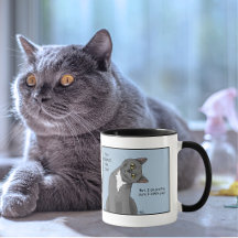 Adoção de Mãe de Gato