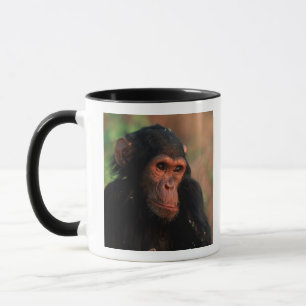 Caneca África, África Oriental, Tanzânia