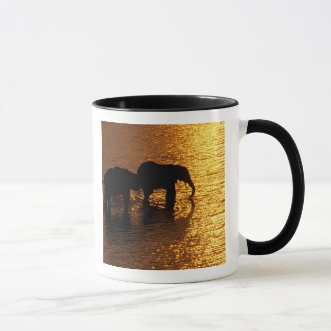 Caneca África, Botsuana, Delta do Okavango. Africano (Direita)