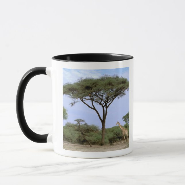 Caneca África, Botsuana, Delta do Okavango. Sul (Esquerda)