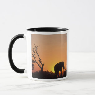 Caneca África, Botsuana, Parque Nacional Chobe, Cenário