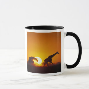 Caneca África, Botsuana, Parque Nacional Chobe, Girafa 2