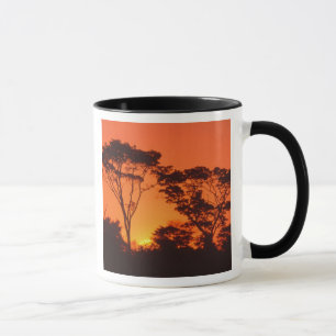 Caneca África do Sul.  Pôr do sol africano.