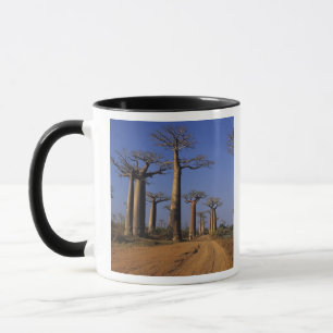Caneca África, Madagáscar, Morondava, Avenida Baobab.