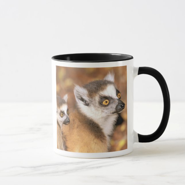 Caneca África, Madagascar, Reserva Privada Berenty. (Direita)