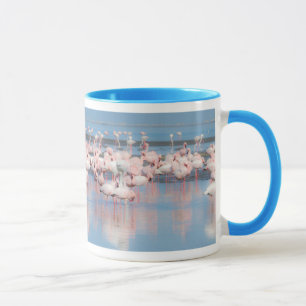 Caneca África, Namíbia, Walvis Bay