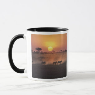 Caneca África, Quénia, Amboseli NP. Zebra caminha até