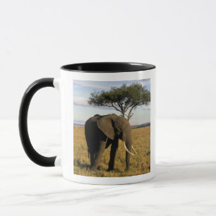 Caneca África, Quênia, Maasai Mara. Um elefante no