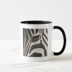 Caneca África, Tanzânia, área da conservação de