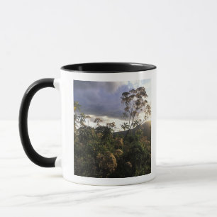 Caneca África, Tanzânia, Área de Conservação de Ngorongor