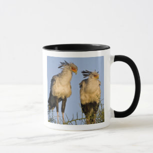 Caneca África. Tanzânia. Aves-secretárias em Ndutu