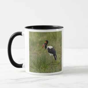 Caneca África. Tanzânia. Cegonha-de-bico-vermelho macho