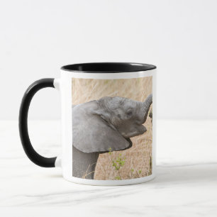 Caneca África. Tanzânia. Elefante jovem em Tarangire