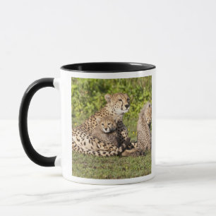 Caneca África. Tanzânia. Mãe de guepardo e filhotes 2