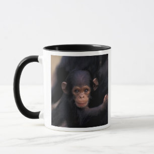 Caneca África, Tanzânia, Parque Nacional Gombe