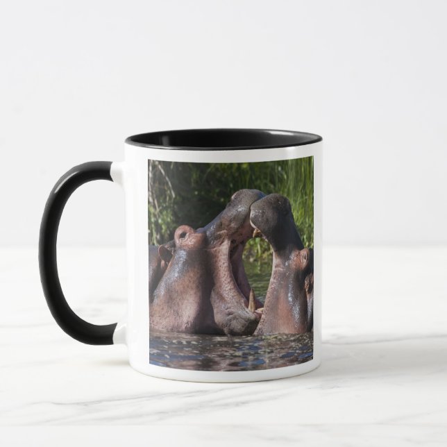 Caneca África. Tanzânia. Poupança de Hippopotamus (Esquerda)