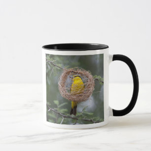 Caneca África. Tanzânia. Tecelão-de-pescoço-preto fêmea