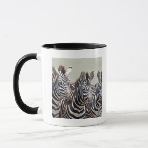 Caneca África, Tanzânia, zebras