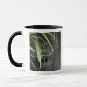 Caneca África, Uganda, Bwindi