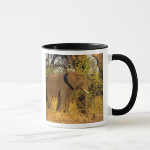 Caneca África, Zimbábue, Parque Nacional Cataratas Vitóri