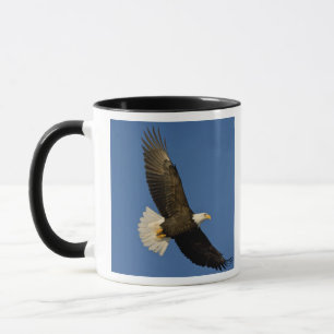 Caneca Águia Americana, Haliaeetus leucocephalus, Homer,