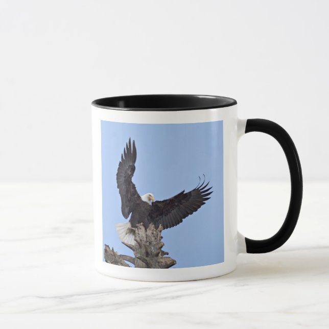 Caneca Águia-careca (Haliaeetus leucocephalus) com asas (Direita)