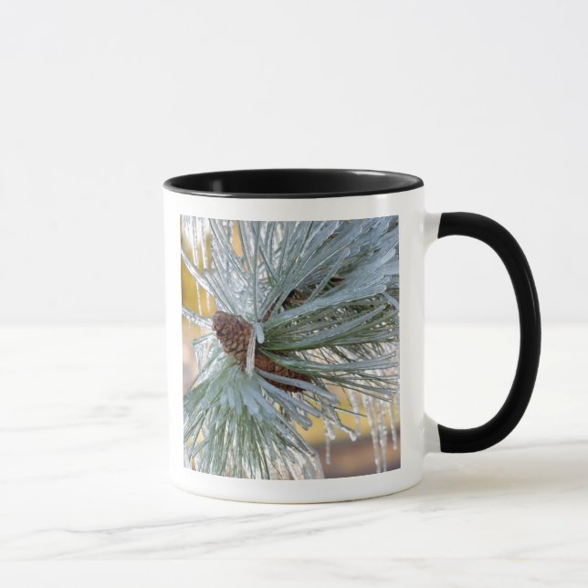Caneca Agulhas de pinheiro ponderosa são (Direita)