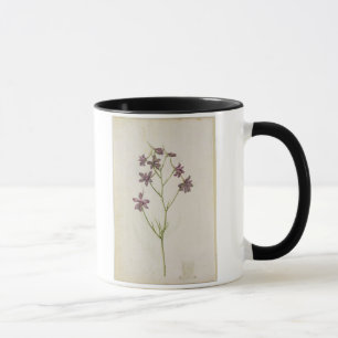Caneca Ajacis do Delphinium, c.1568