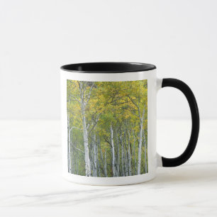 Caneca Álamos de outono na passagem de McClure no Colorad