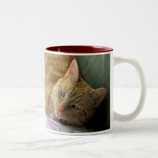 Caneca alaranjada do gato malhado com verso