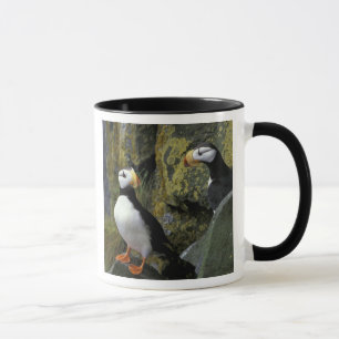 Caneca Alasca, Ilha de São Paulo, as Ilhas Pribilof, corn