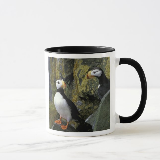 Caneca Alasca, Ilha de São Paulo, as Ilhas Pribilof, corn (Direita)