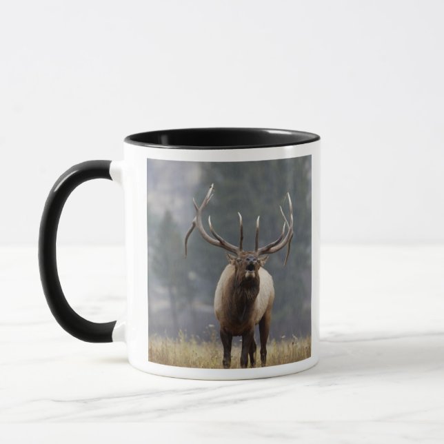 Caneca Alce macho bramando, Parque Nacional Yellowstone,  (Esquerda)