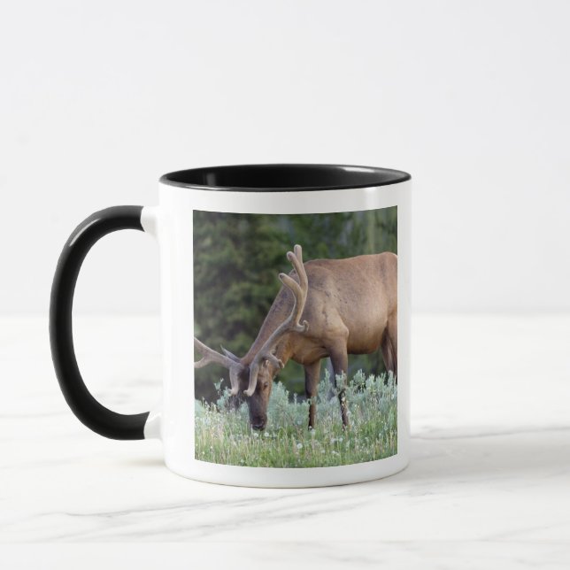 Caneca Alce macho com chifres em veludo pastando (Esquerda)