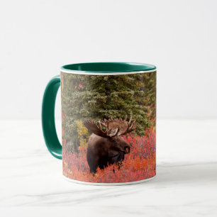 Caneca Alce Macho em Bétula Anã Vermelha
