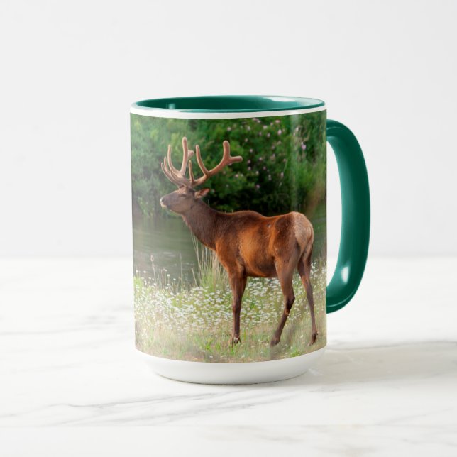 Caneca Alce macho no National Bison Range, Montana (Frente Esquerda)
